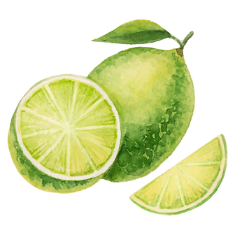 blended diet online healthy food