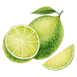 lime