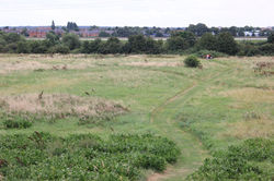 Tottenham Marshes