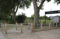 East Tottenham Allotments