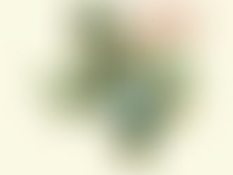 Bally Studios' Best Albums Of 2012