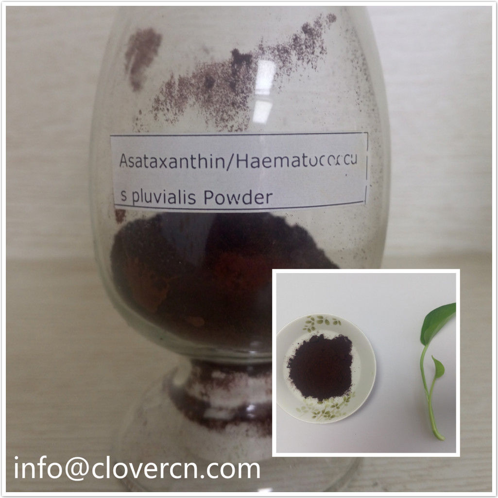 Clover Astaxanthin 5% HPLC/Haematococcus pluvialis
