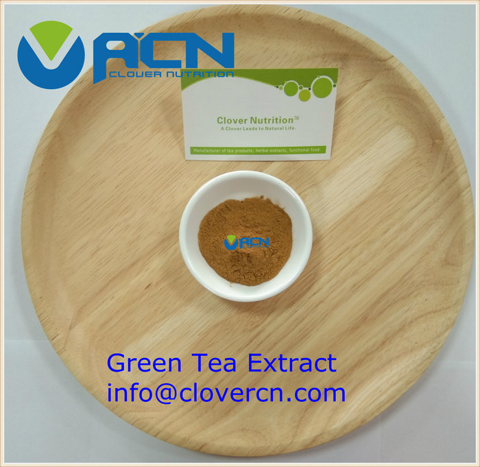 Honeysuckle Flower Extract Chlorogenic acid