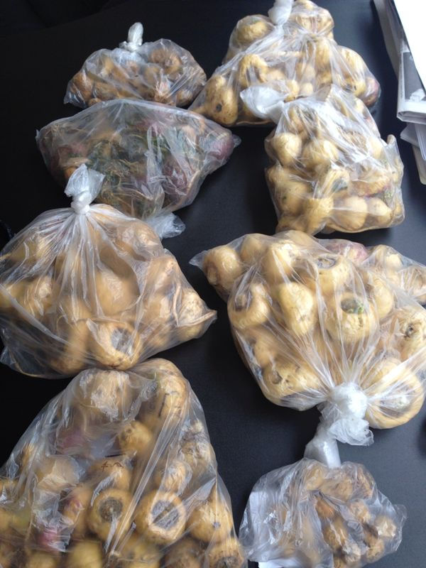 Miniatura: Maca Extract Powder 4:1 TLC