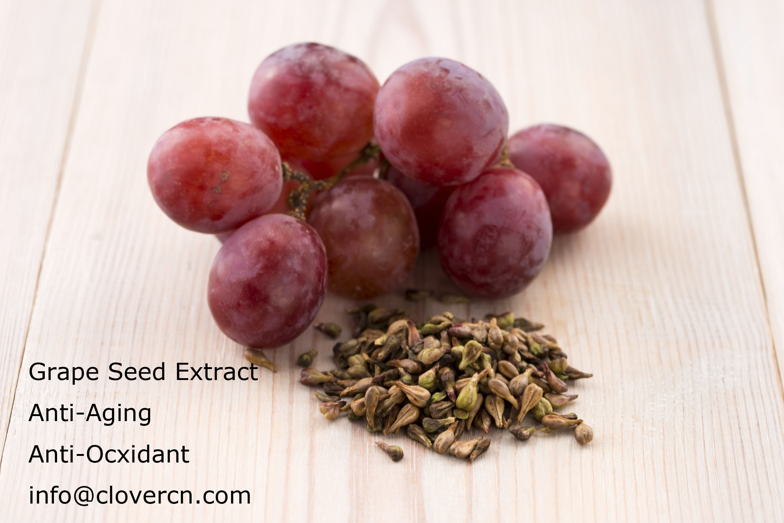 Grape Seed Extract OPC 95% UV