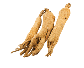 Dong Quai Extract is a extract powder from top-grade root ofAngelica sinensis plants which have been Traditionally Grown.