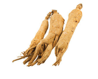 Dong Quai Extract is a extract powder from top-grade root ofAngelica sinensis plants which have been Traditionally Grown.