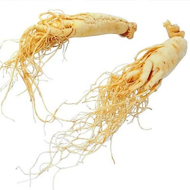 Ginseng Extract