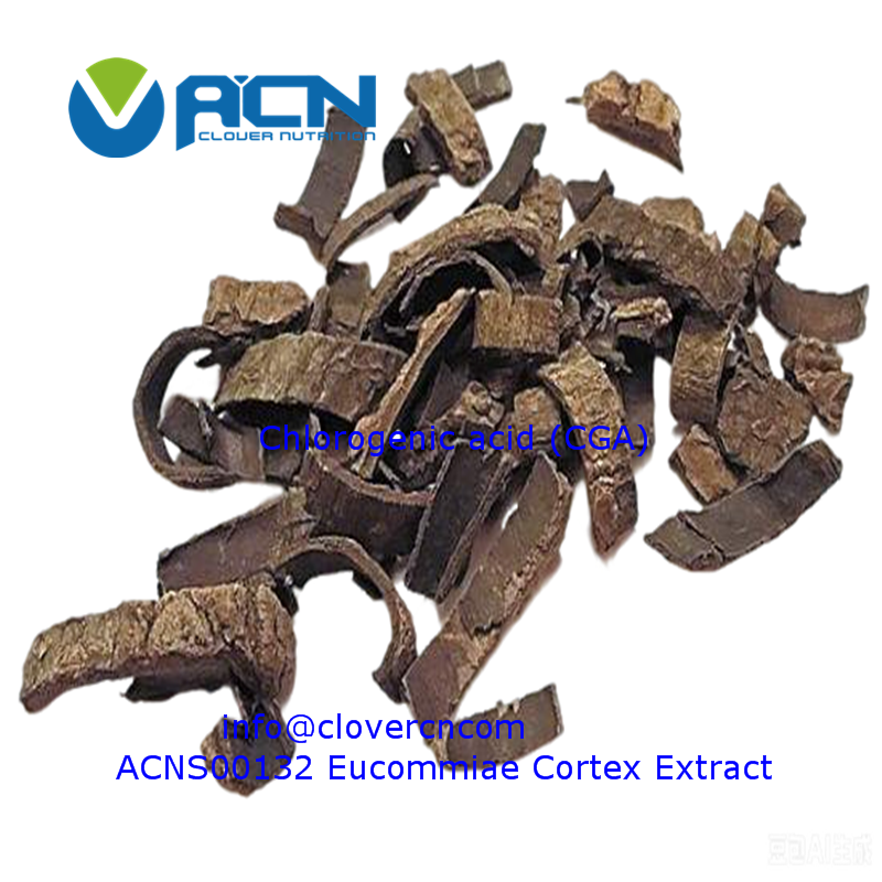 Eucommiae Cortex Extract Chlorogenic acid