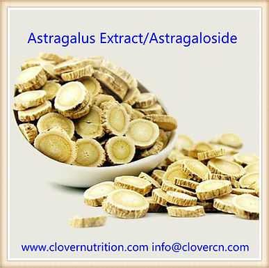 Astragalus Extract/Astragalus membranaceus(Fisch.) Bge