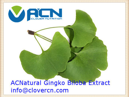 ACNS00211 Ginkgo Biloba Extract(GBE)
24% Flavoneglycosides, 6% Terpene Lactones