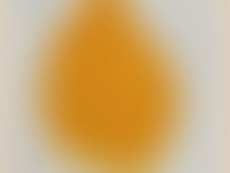 ACNS0072 Turmeric Extract Curcumin