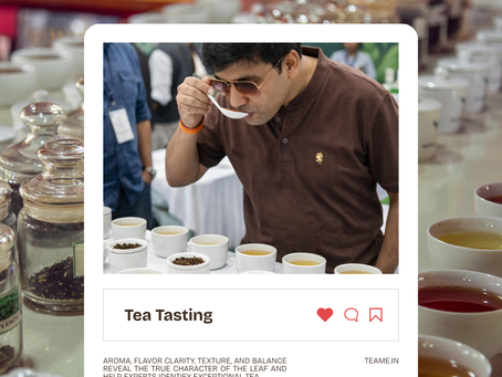How to Taste Tea Like a Professional