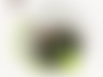 Premium India Tea – The Finest Loose Leaf India Tea by Tea & Me