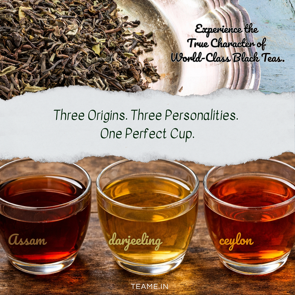 Assam vs Darjeeling vs Ceylon Tea: Which One Should You Choose?
