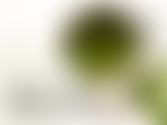 Best Tea for Exam Preparation in India (2026): Why Peppermint Is Ideal for Mental Freshness