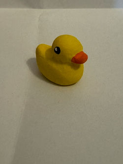 image5 (1)