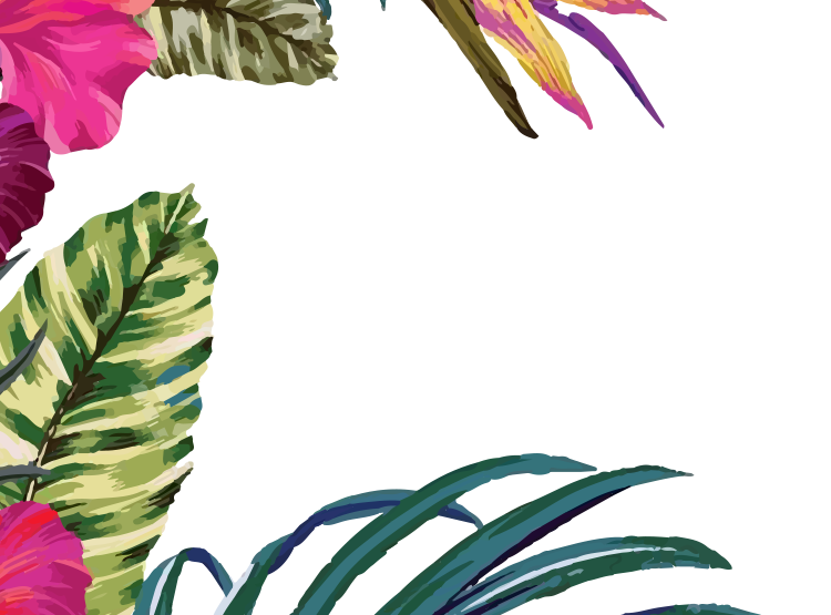 Vector Smart Object.png
