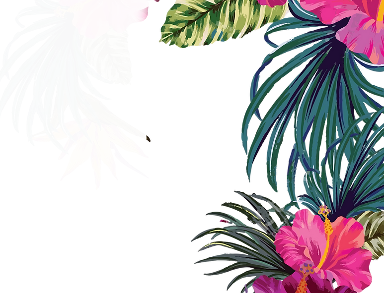 Vector Smart Object copy 2.png