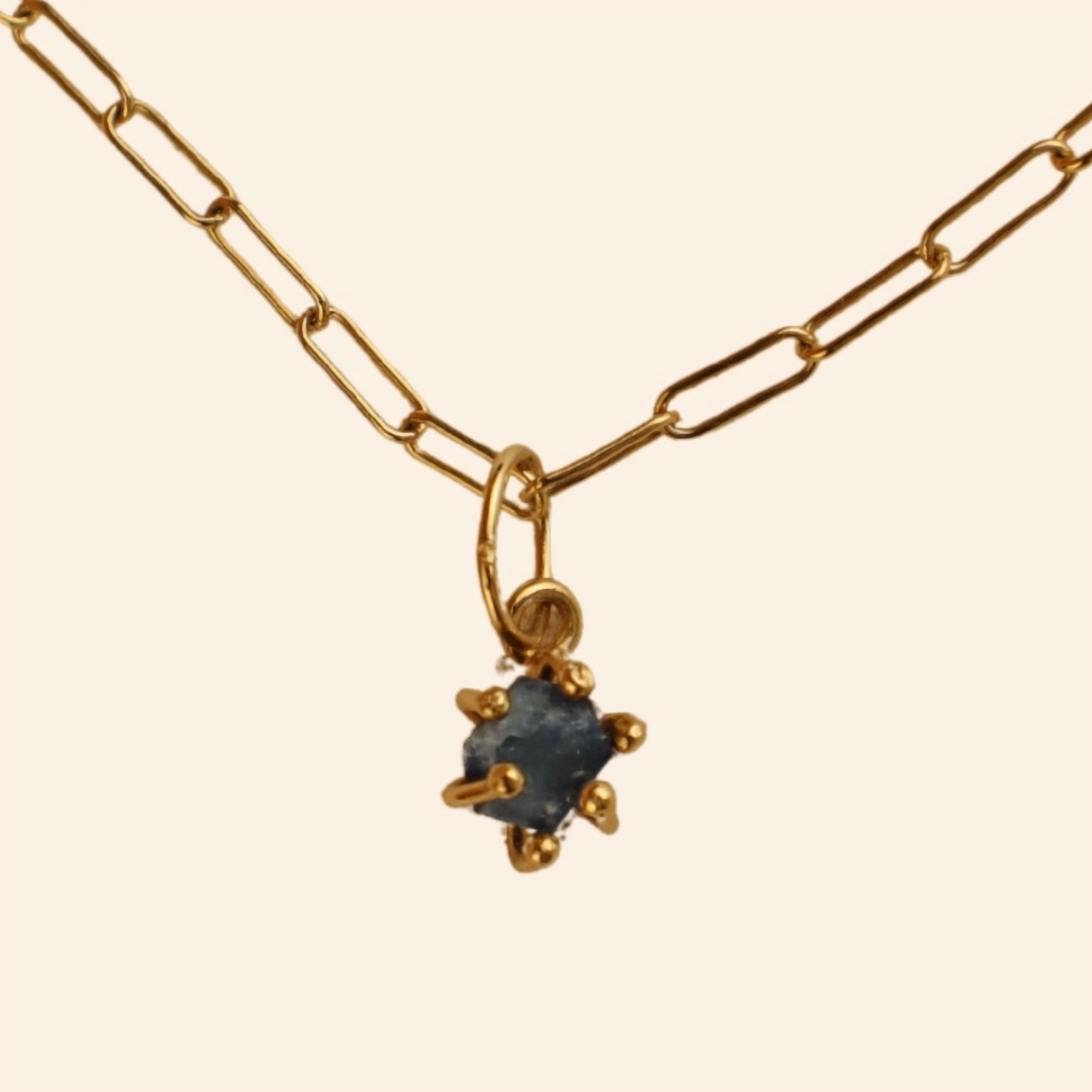 Collar Colomba Chapa de Oro