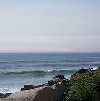 IMG_4088.JPG