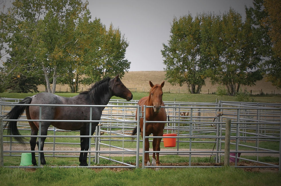 FARM & RANCH SUPPLIES