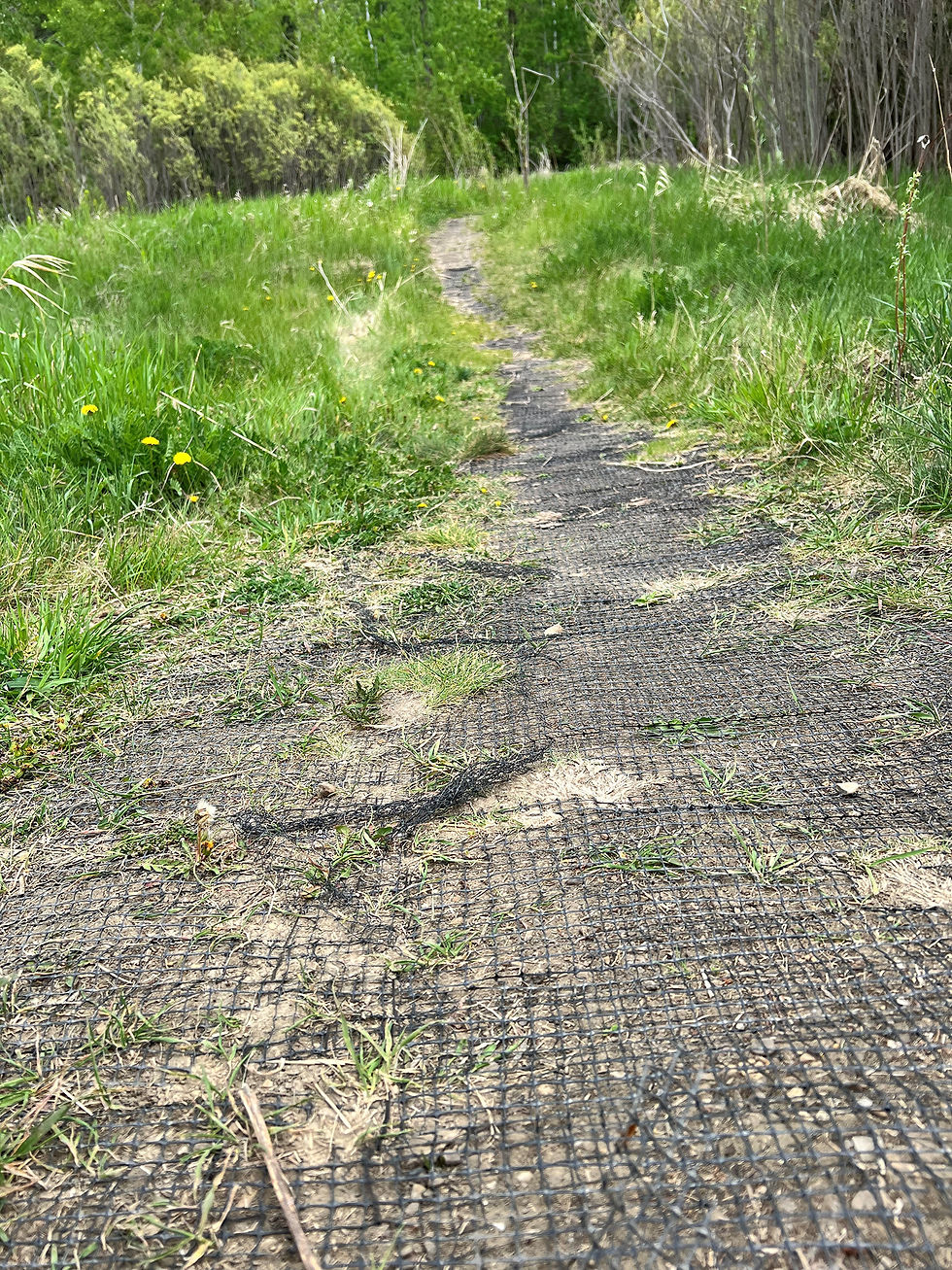 GRASS/GRAVEL REINFORCEMENT