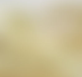 Protein Powders: The Differences and the Benefits for Building Muscle
