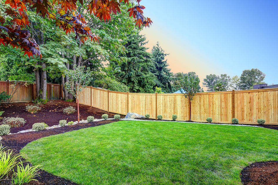 View of an attractive backyard with new