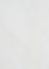 FOND PNG.png
