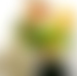 セルフケータリング：盛付例
