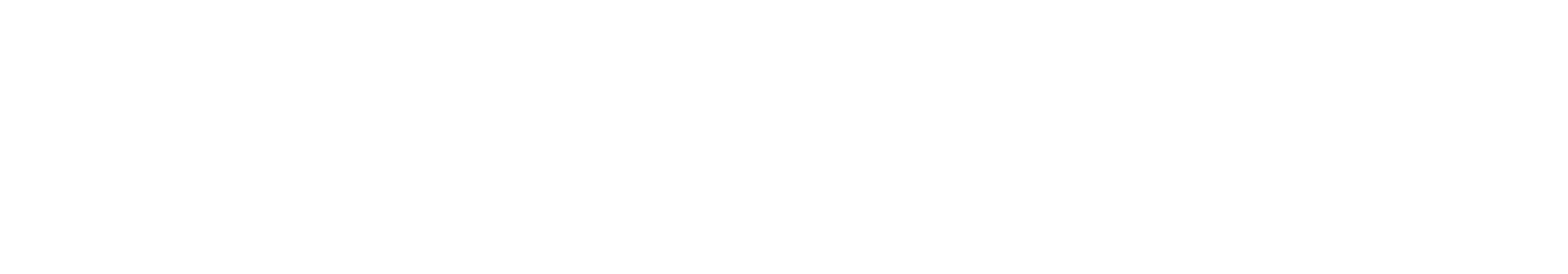 SALT21_Logo_Weiss_XXL.png