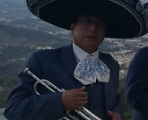 carmilema.png