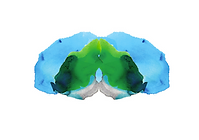 freud+4.png