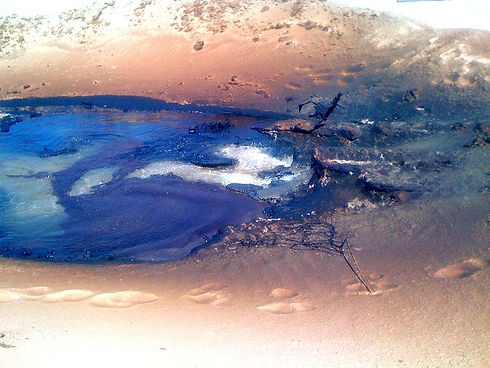 photo (21)_edited.jpg