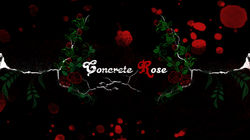 concrete rose
