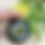 Thumbnail: Sunnah Remedy - Sidr Salve