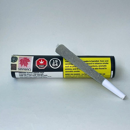 Organic Super Lemon Haze by 1964