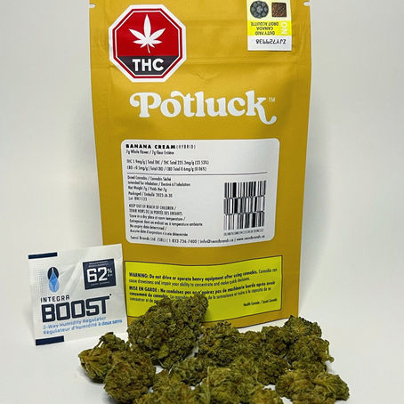 Banana Cream by Potluck