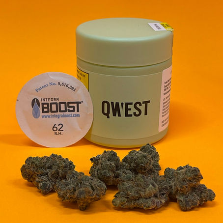 Apple Fritter by Qwest