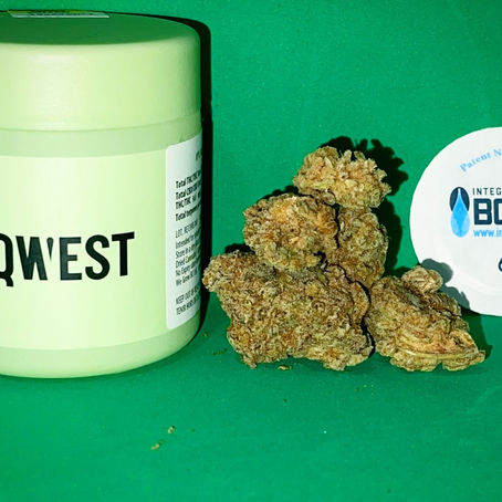 Apple Mac by Qwest