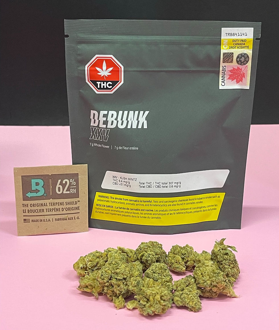 DEBUNK XXV KUSH MINTZ
