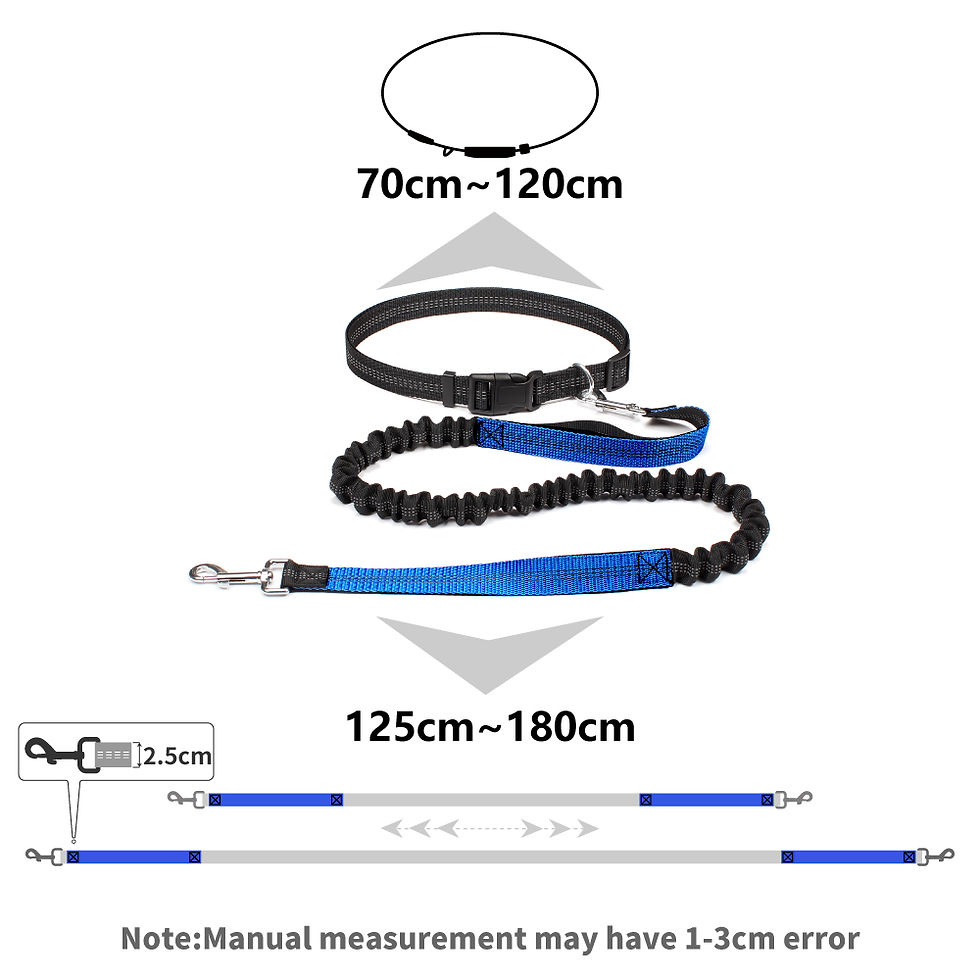 Thumbnail: Hand Free Dog Leash for Pet Walking Running Jogging Adjustable Dog Leash Waist B