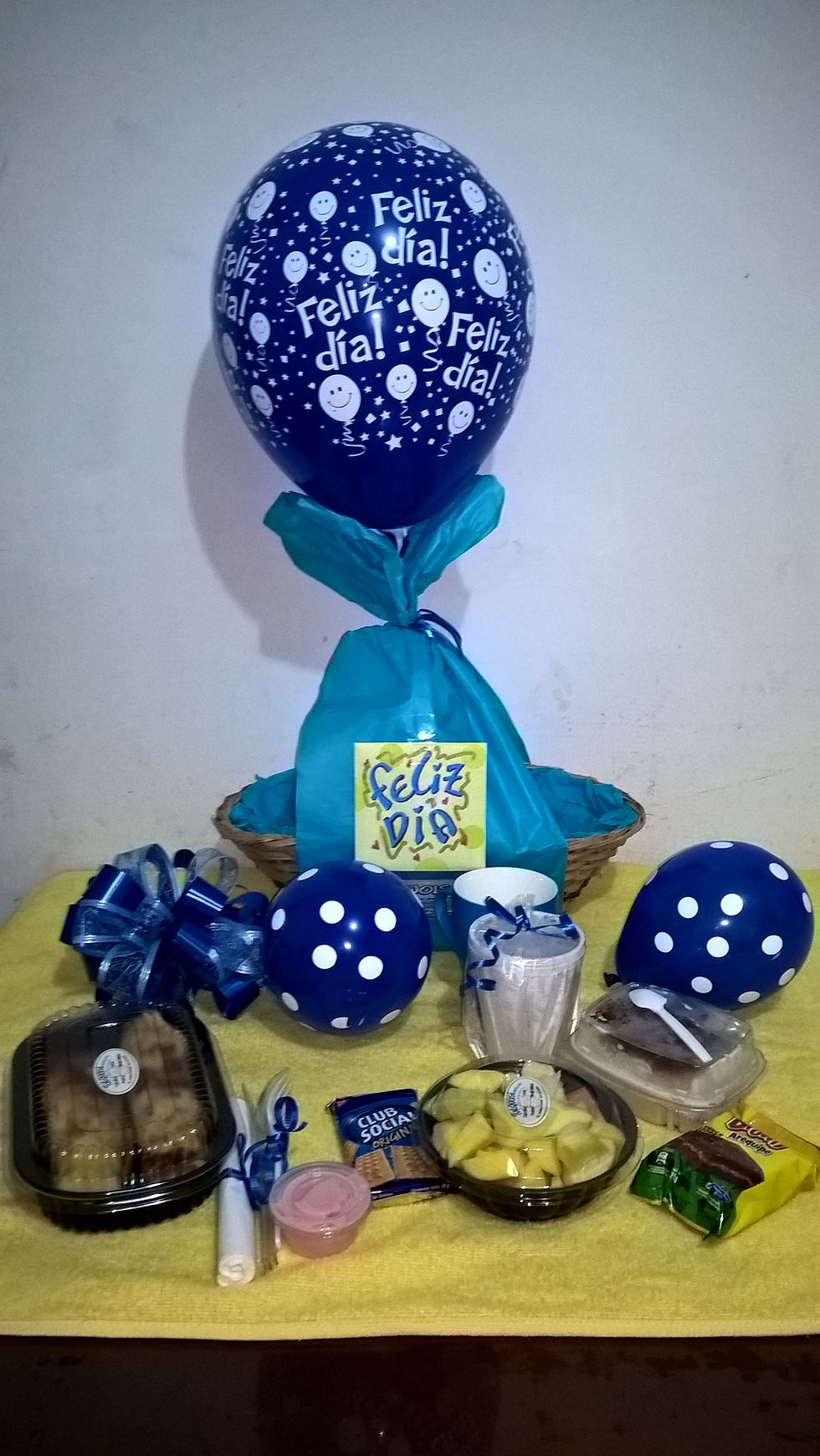 WP_20160303_05_55_59_Pro (1) (1) (1) (1)