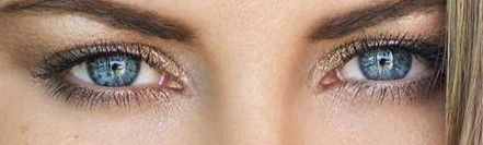 Taking a Look at Censorship