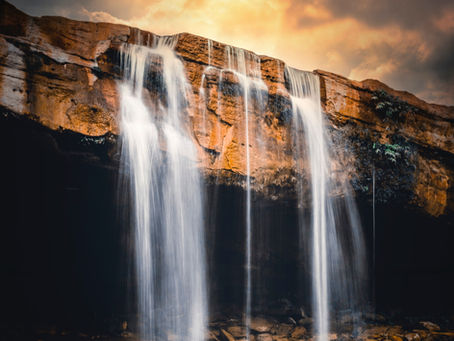 The Leader of the Pact