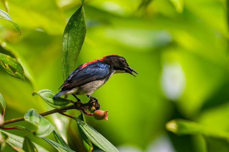 53111218894_4807e99761_k