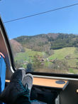 IMG_3265.jpeg