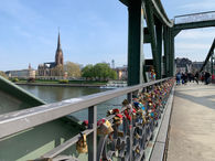 IMG_3204.jpeg
