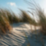 Dünen am Strand